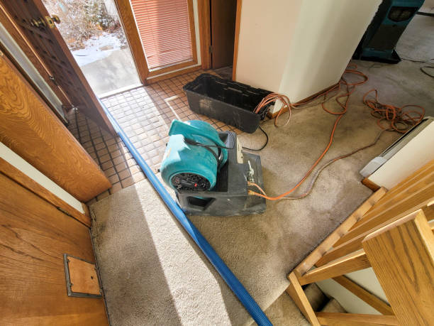 Best Basement water damage restoration  in Bensville, MD