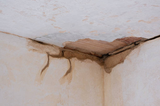 Best 24/7 water damage repair  in Bensville, MD