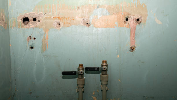 Best Sewage cleanup and water damage restoration  in Bensville, MD