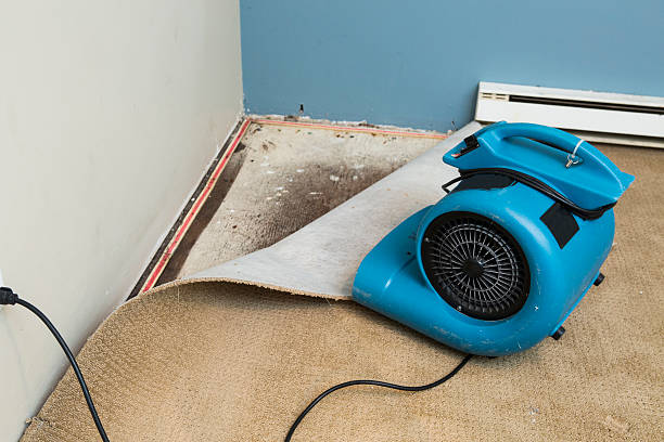 Best Water damage mitigation services  in Bensville, MD